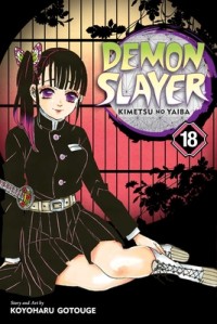 Image of Demon Slayer: Kimetsu no Yaiba 18